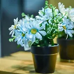 Apartman Jula 122